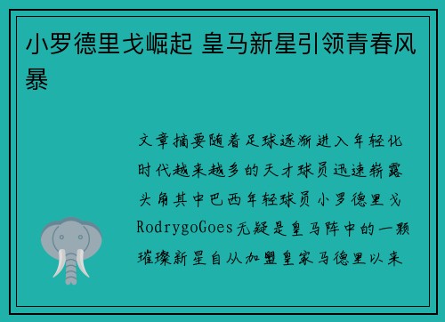 小罗德里戈崛起 皇马新星引领青春风暴